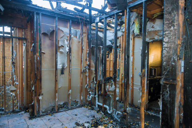 Professional Soot Cleanup technician working in Piñon Hills, CA